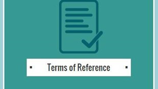 SIG Terms of Reference
