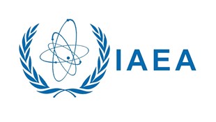 International Atomic Energy Agency Radiation Protection for Patients